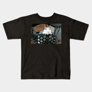 Brush, the Father Kids T-Shirt